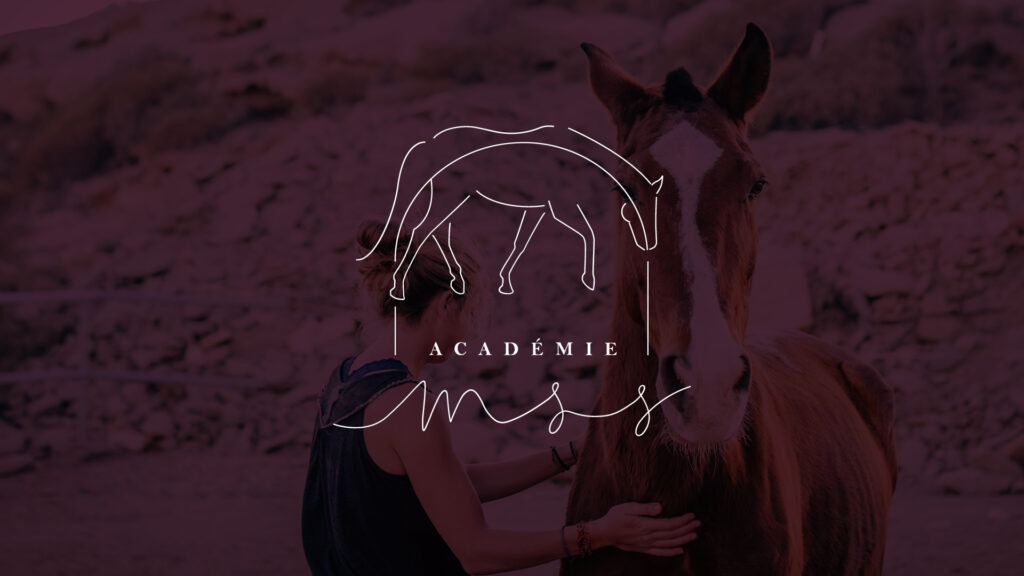 Académie MSS